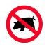 Запрет свинины