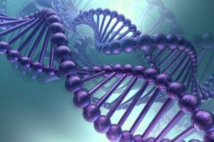 ДНК против мифа эволюции