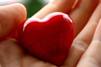 Изменчивость сердца