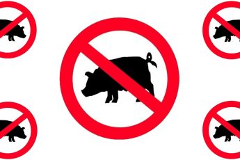 Запрет свинины