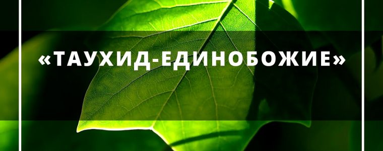 ЕДИНОБОЖИЕ – ВОПРОСЫ И ОТВЕТЫ – 1
